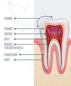 Root Canal Therapy in Fairfax Va by Dr. Le